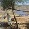 sistema solar del bombeo de agua de 4kw picovoltio/equipo accionado solar de la bomba de agua para cultivar proveedor